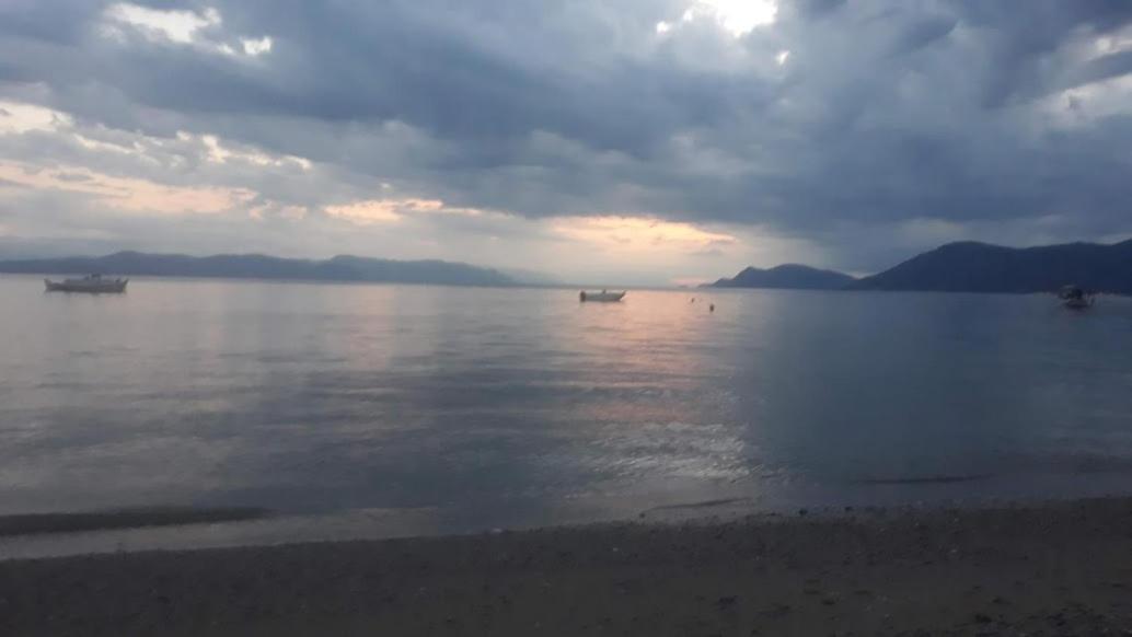 Paleochori Σπίτι Στο Βουνό Αλλά Μια Ανάσα Από Τη Θάλασσα 빌라 외부 사진