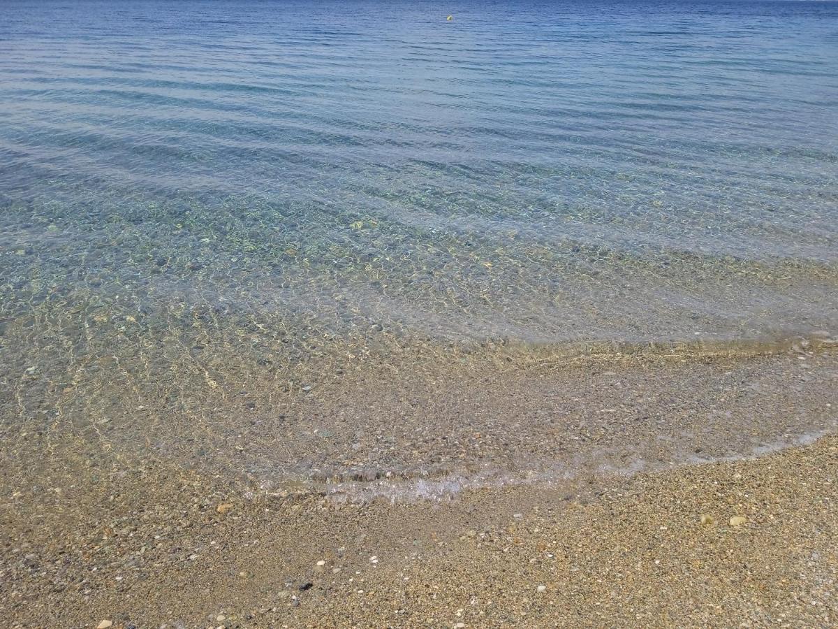 Paleochori Σπίτι Στο Βουνό Αλλά Μια Ανάσα Από Τη Θάλασσα 빌라 외부 사진