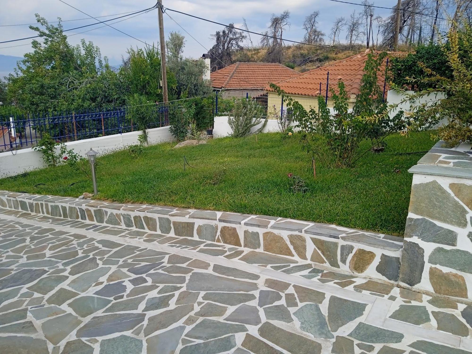 Paleochori Σπίτι Στο Βουνό Αλλά Μια Ανάσα Από Τη Θάλασσα 빌라 외부 사진